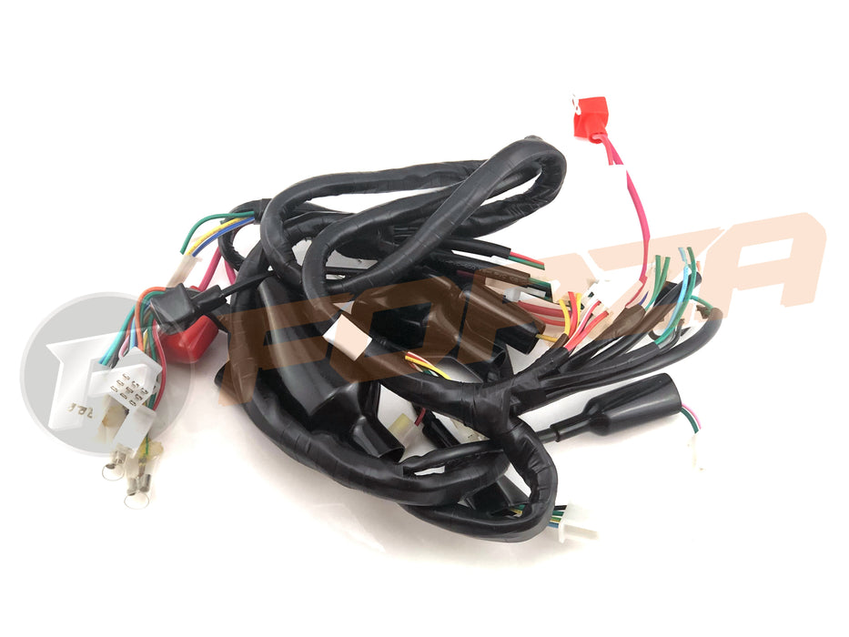 **TNT Roma Std 2T Wire Harness (loom) 2024 - NOW